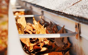 Hodgefield gutter cleaning companies