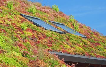 Hodgefield living roof systems