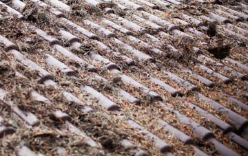 Hodgefield roof cleaning companies